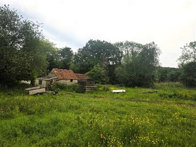 Picture 6